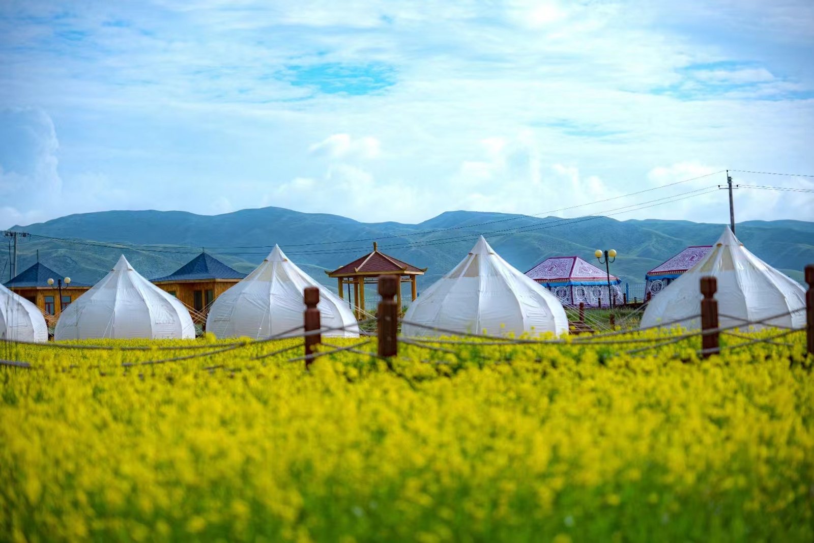 BOTEEN Qinghai